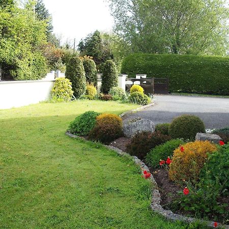 Maryville Bed And Breakfast Nenagh Exterior foto