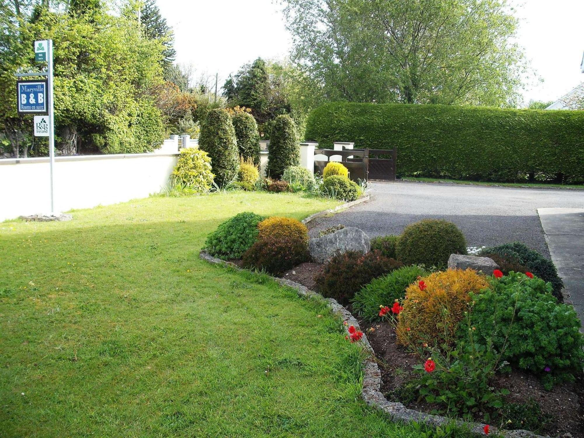 Maryville Bed And Breakfast Nenagh Exterior foto